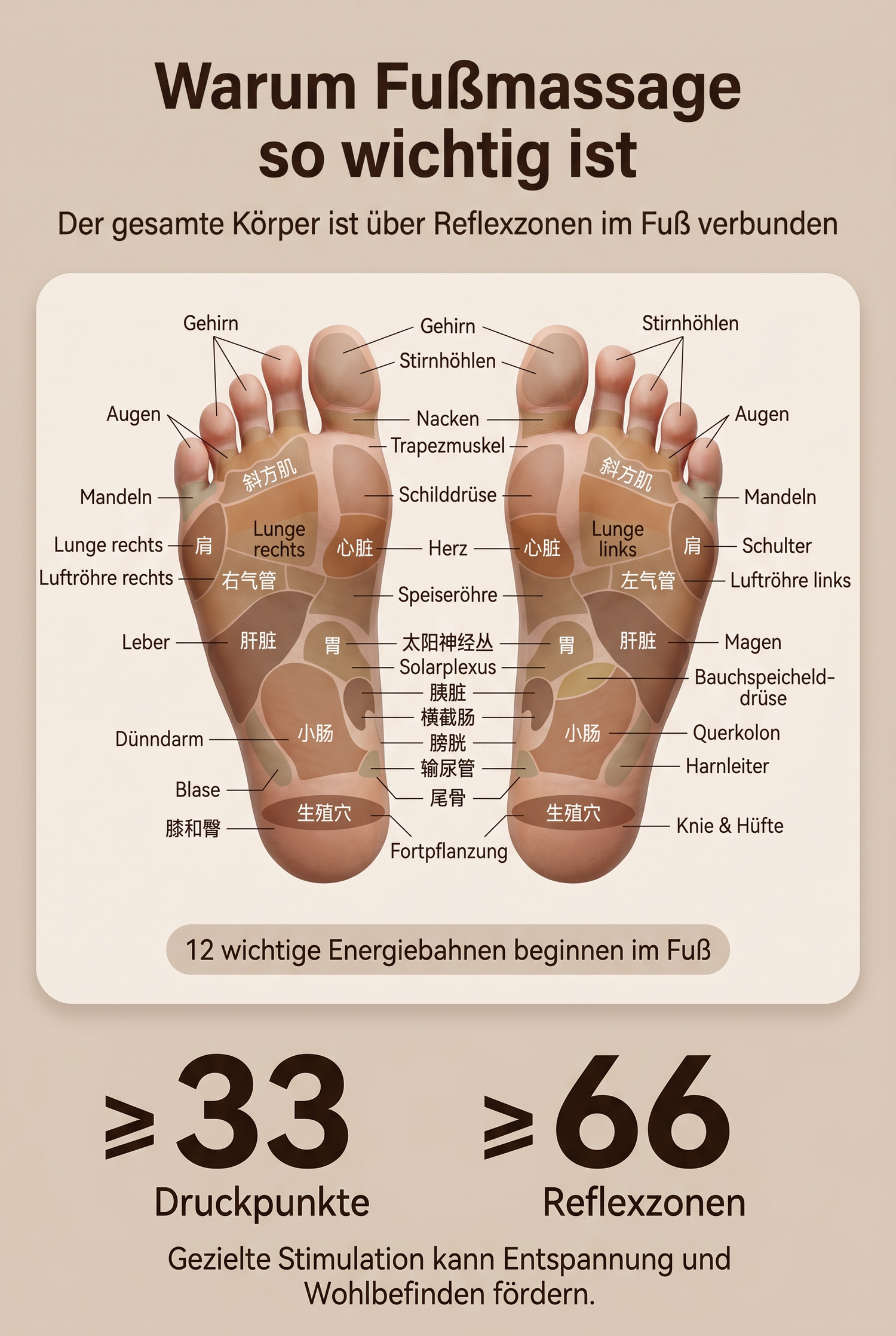 ZEILKO elektrisches Fußbad-Massagegerät – 3D-Rollenmassage, Ozon-Desinfektion und 36 Präzisionsrollen
