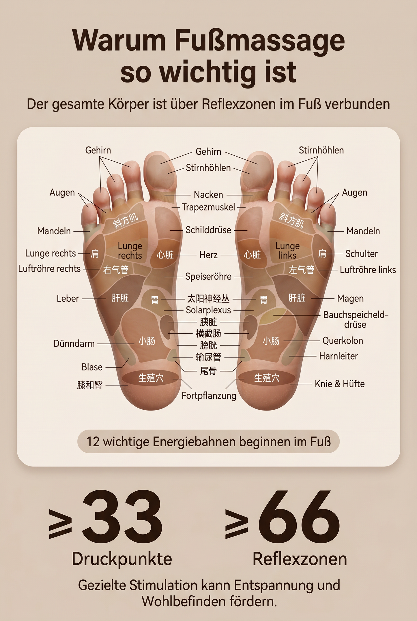 ZEILKO elektrisches Fußbad-Massagegerät – 3D-Rollenmassage, Ozon-Desinfektion und 36 Präzisionsrollen